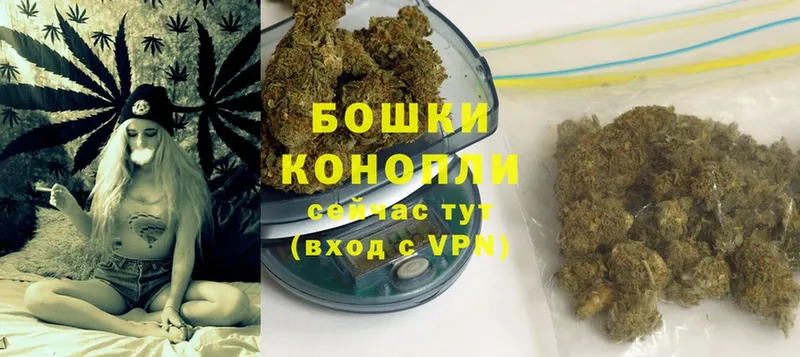 купить наркотик  Ахтубинск  МАРИХУАНА SATIVA & INDICA 